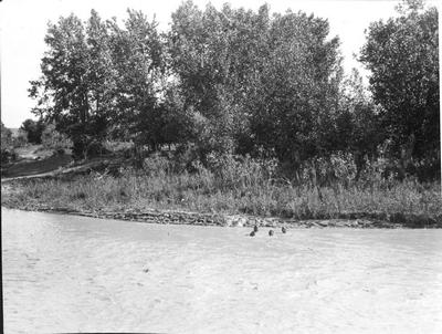 Crow Indians