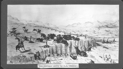 The Buffalo Drive