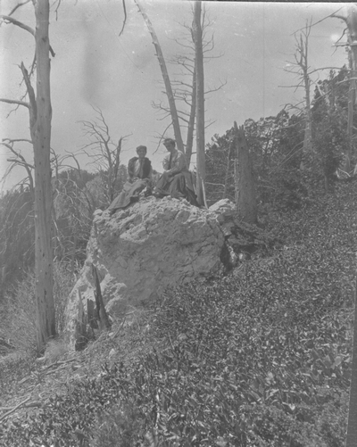 Near summit of Mt Baldy near Bozeman, Mont