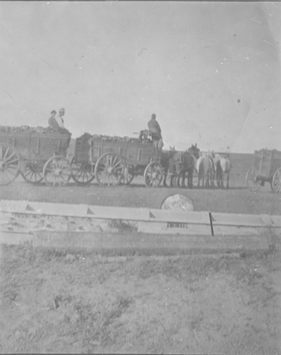 Wagons of coal shipped to Norris Mont.