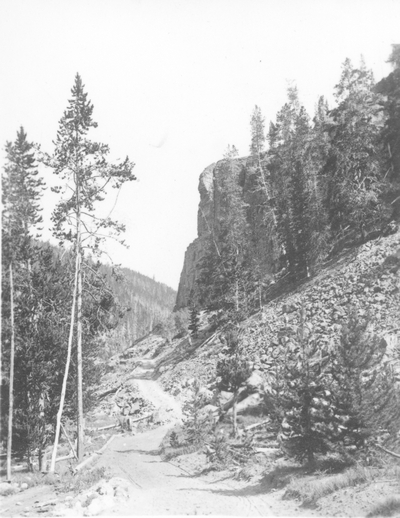 Obsidian Cliff on the old Norris Road
