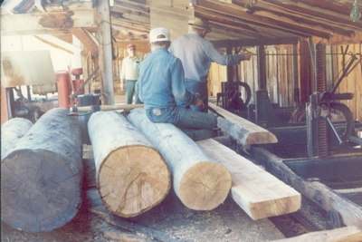 Park Co. Museum - making signs