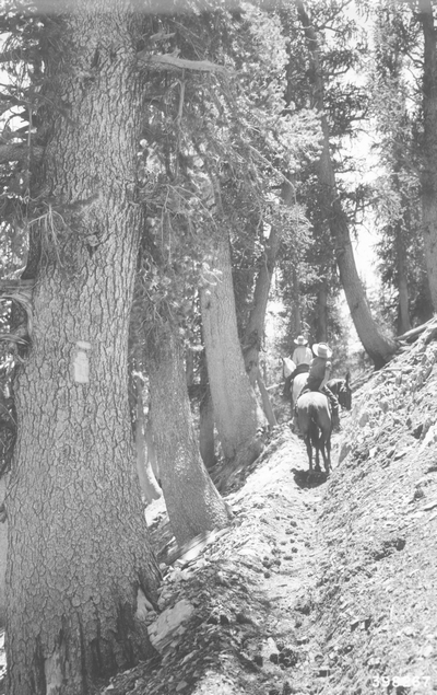 Riders on the winding trail leading to Charleston Peak (Nevada National Forest, Nevada)