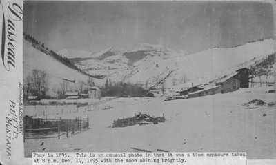 Pony in 1895