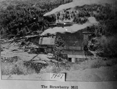The Strawberry Mill