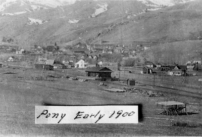 Pony Early 1900