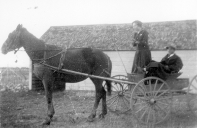 Horse & buggy with couple, Montana