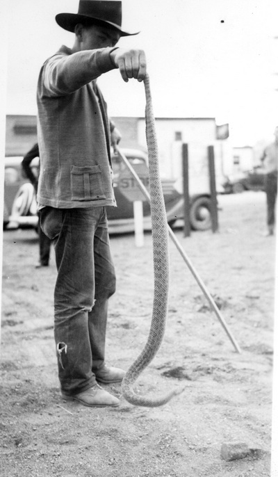 Man with rattlesnake in Ennis, Montana
