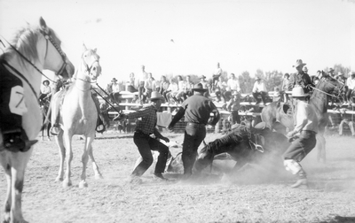Rodeos & roundups