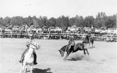 Rodeos & roundups