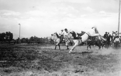 Rodeos & roundups