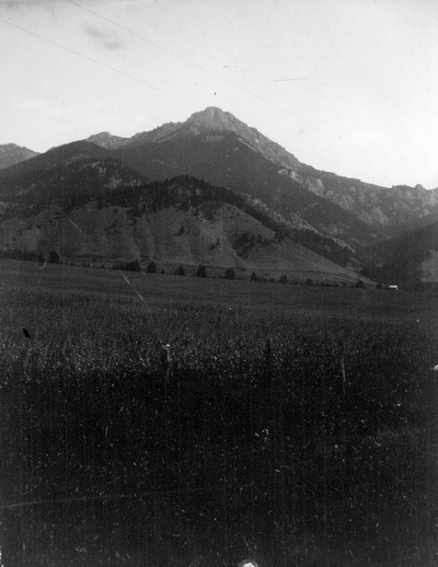 Ross Peak from the road west