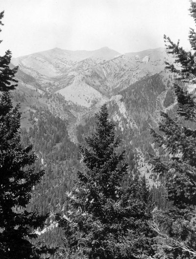Sacajawea Peak