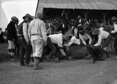 Sidney, Montana - Rodeo & Fair - wild horse race