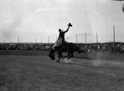 Sidney, Montana - Rodeo & Fair - bronco rider