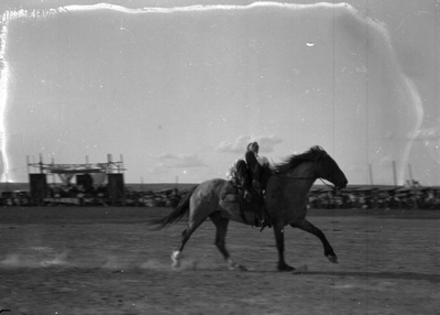 Sidney, Montana - Rodeo & Fair - horse running