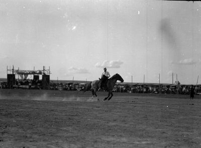 Sidney, Montana - Rodeo & Fair - trick riding