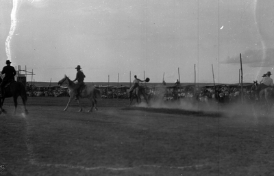 Sidney, Montana - Rodeo & Fair - bronc riding