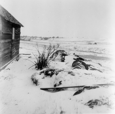 Silver City, Lewis & Clark County - ghost town