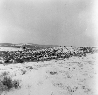 Silver City, Lewis & Clark County - ghost town