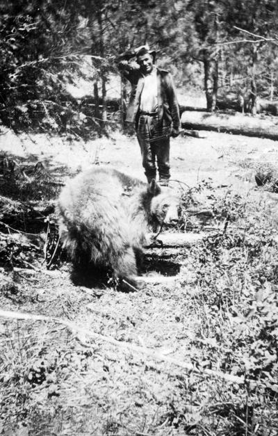 Victor & Hamilton Mt vicinity- Rocky Mountain Spotted Fever Tick Research