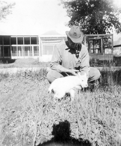 Victor & Hamilton Mt vicinity-- Rocky Mountain Spotted Fever Tick Research