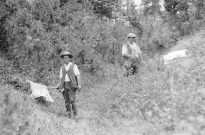 Victor & Hamilton Mt vicinity-- Rocky Mountain Spotted Fever Tick Research