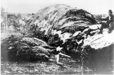 Buffalo hides on the banks of the Missouri River