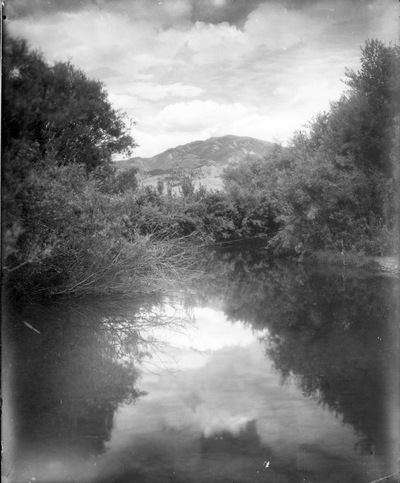 Creek in the Gallatin Valley, Montana
