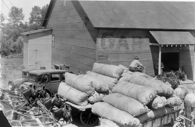 Wool marketing - Bozeman, Montana