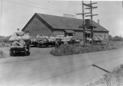 Wool marketing - Bozeman, Montana