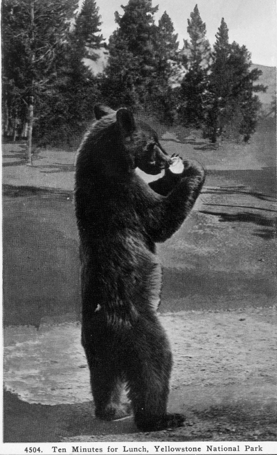 Yellowstone National Park - Ten minutes for lunch