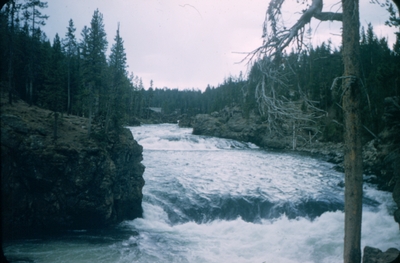 Yellowstone National Park - Firehole River