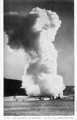 Old Faithful at Sunrise - 150 ft., Yellowstone Park