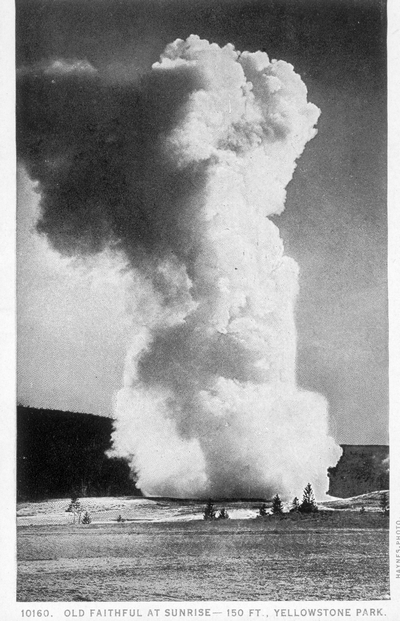 Old Faithful at Sunrise - 150 ft., Yellowstone Park