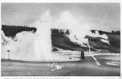 Constant Geyser, Norris basin, Yellowstone Park