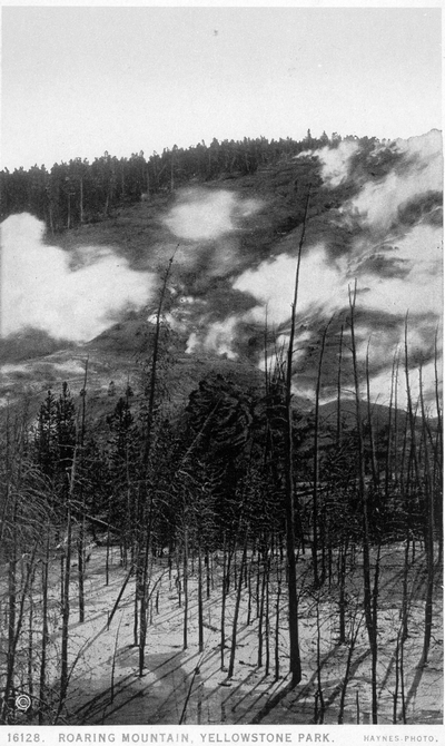 Roaring Mountain, Yellowstone Park