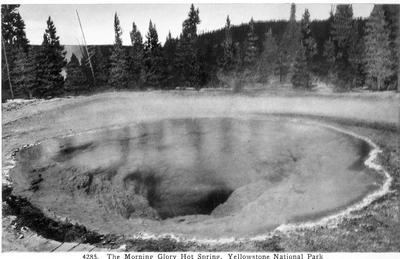 The Morning Glory Hot Spring, Yellowstone National Park