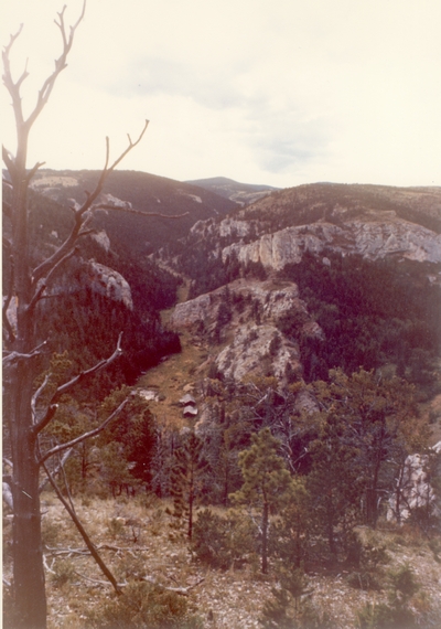 Yogo Creek Canyon, MT