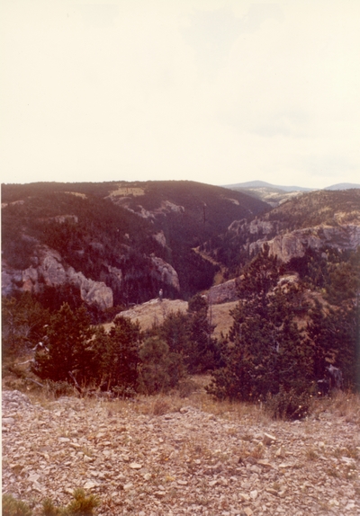 Yogo Creek Canyon, MT