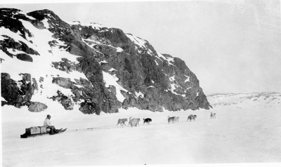 Clarence Birdseye on a dogsled in Labrador