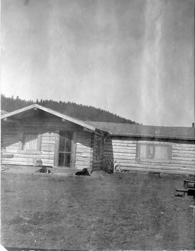 Homestead life