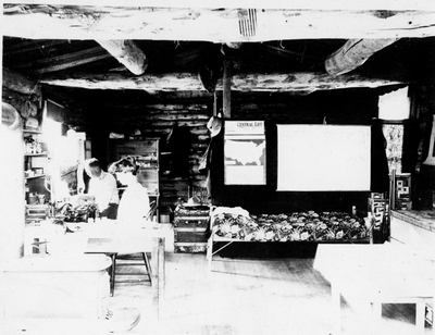 Mrs. Parker helps her husband study ticks during their honeymoon (Ralph R. Parker, Rocky Mountain Spotted Fever Tick Researcher)