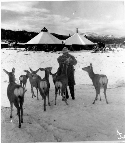 Willis M. Speer (Spear?) feeding deer