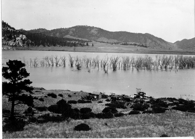 Forest in water - Gates of the Mountains