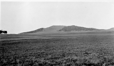 White Mt. Prairie, Glacier National Park (Elev. 9300 ft.)