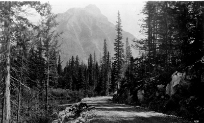 Mt. Cannon, Glacier National Park