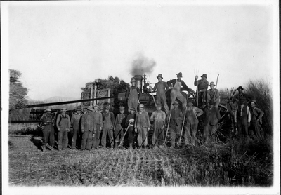 Farmers with a steam threshing machine in Montana