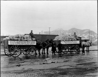 Farmers with wagon loads of clover seed for shipping, Gallatin Valley, Montana