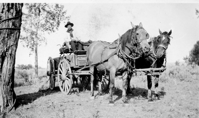 William Sellickson driving his team & wagon
